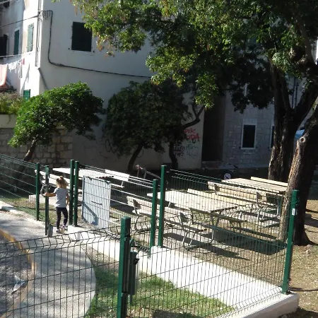 Happy Jackdaw In The Center Of Daire Split